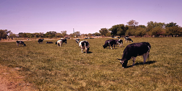 Agriculture of Fallon & Stillwater Preserve, 1966